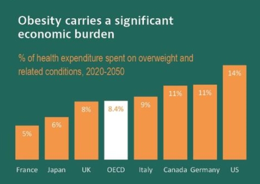 OECD는 회원국이 2020년부터 2050년까지 비만·과체중 영향으로 평균 3.3% 국내총생산(GDP) 손실을 볼 것으로 추산했다.