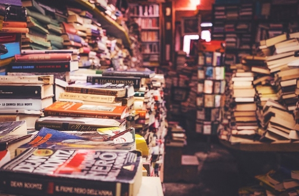 장서가들은 책을 읽는 것도 좋아하지만 모으는것도 좋아하는 사람들이다. 사진=pixabay