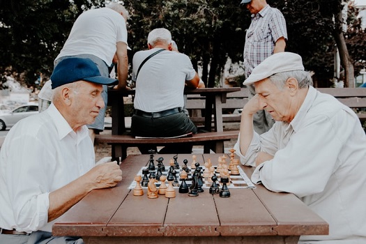 체스는 6세기경에는 체스의 발상지인 인도에서만 즐기던 놀이였다. 체스의 원조 차투랑가는 인도에서 페르시아에 전파되어 샤트란지가 되었고 중세에 이르러 샤트란지는 서유럽에 전래되었다.사진=unsplash