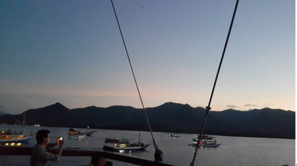 박쥐섬 앞에 정박한 관광선들. 사진= 배동선 통신원