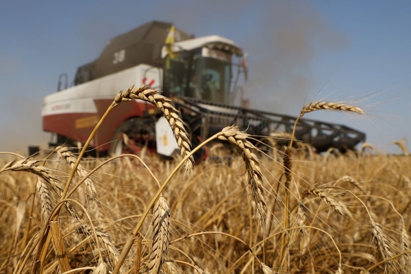 러시아와 우크라이나 사이의 전쟁으로 글로벌 밀 공급망에 교란이 발생하면서 세계적인 식량위기를 초래할 것이라는 경고가  나왔다. 사진=블룸버그