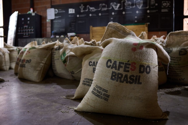 브라질 커피 생산이 줄어들 것이라는 전망은 이미 시장 가격에 반영돼 지난해 커피 선물 가격이 수년 내 최고치를 기록했으나 올해 작황이 예상보다 더 적을 경우 가격은 더 상승할 수 있다. 사진=ZUMAPRESS