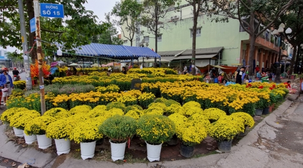 뗏이 임박하면 호치민 시내 곳곳에서 꽃 상인들이 거리에 꽃을 늘어놓고 판매한다. 사진=강태윤 통신원