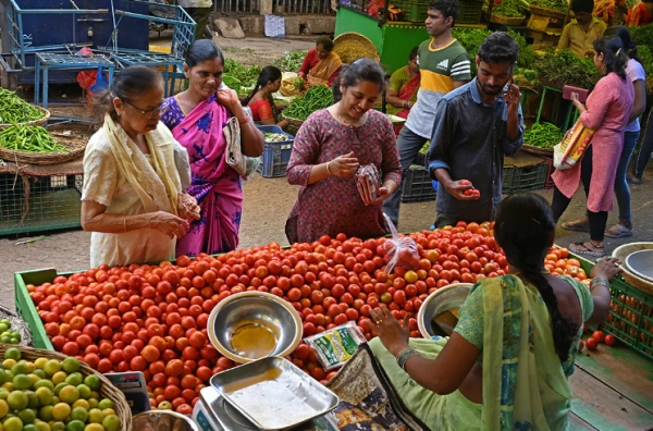 인도 수도 뉴델리에서 6일(현지시간) 기준 토마토 1㎏ 소매가는 120루피(약 1900원)로 6개월 사이 약 445％ 폭등했다. 사진=AFP