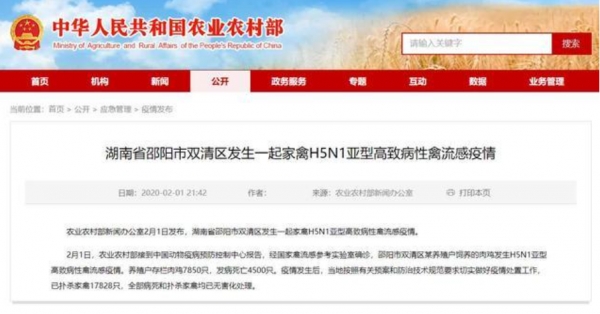 중국농업부는 1일 저녁 홈페이지를 통해 후난성 샤오양시 양계장에서 조류인플루엔자가 발병했다고 공지했다. 사진=인민일보