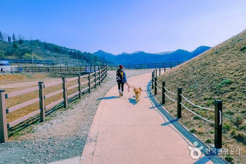 백두산 선자령 정상석 풍경.사진=한국관광공사
