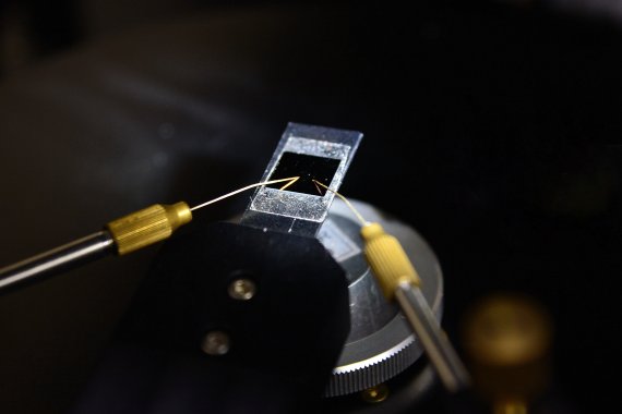 KIST 스핀융합연구단 이기영 박사팀이 개발한 초저전력 차세대 자성메모리 반도체 소자. 사진=KIST 제공