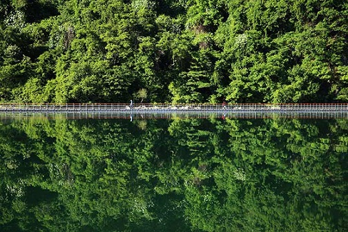 '숲으로다리'를 중심으로 데칼코마니를 이루는 풍경.사진=한국관광공사