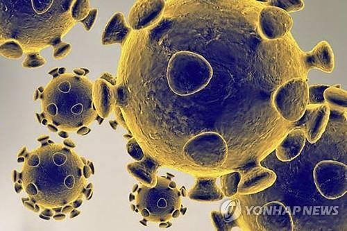 미국 텍사스대학 보건서비스센터의 요게시 굽타 구조생물학 교수 연구팀은 코로나19(COVID-19) 바이러스는 세포 속으로 침투하기에 앞서 알아보지 못하도록 변신한다는 연구 결과를 발표했다. 사진=AFP/연합