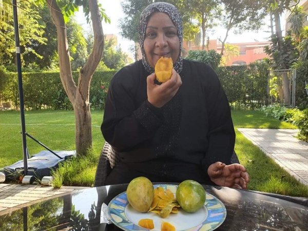 이집트 여성이 '아위시 망고'를 깎아 맛있게 먹고 있다. 여성 뒤로 보이는 나무는 떪은 맛의 '집데야 망고' 나무이고, 여성 왼쪽엔 오렌지 나무가 서있다. 사진= 신나리 통신원