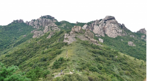 월출산 천황봉(天皇峯, 809m)에서 바라본 바람재. 사진=박성기 칼럼니스트