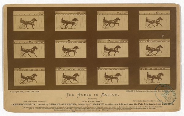 1878년 에드워드 마이 브릿지가 찍은 ‘말의 움직임’ 사진출처=위키피디아