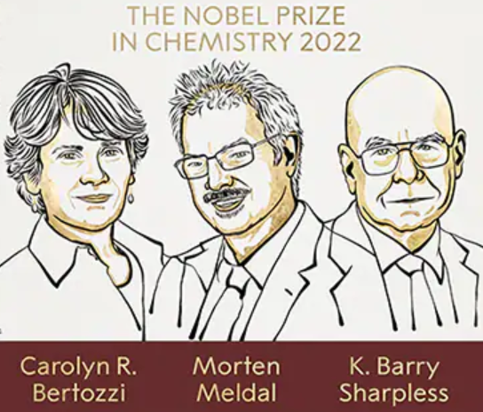 올해 노벨상 화학상 수상자로 분자 구성단위들을 빠르고 효율적으로 결합시키는 합성 기술을 개발한 캐럴린 R. 버토지(56. 미국), 모르텐 멜달(68. 덴마크), K.배리 샤플리스(81. 미국) 등 3명이 선정됐다.
