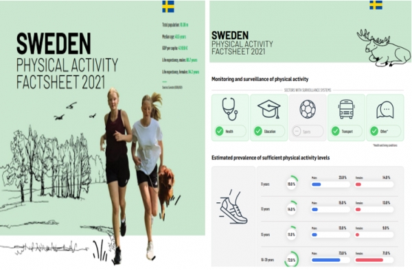 유럽연합 비만예방을 위한 활동 프로그램(HEPA) 중 스웨덴의 2021년 활동자료 예시- 엑티비티 분야별, 연령별, 성별, 활동비율. 그래픽=WHO 홈페이지 캡처