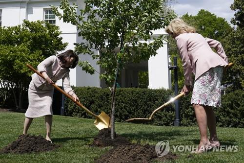 질 바이든(오른쪽) 미국 대통령 영부인과 일본 총리부인인 기시가 유코 여사가 17일 백악관에 왕벚나무를 심는 등 이례적인 외교를 선보였다. 사진=AP연합뉴스.
