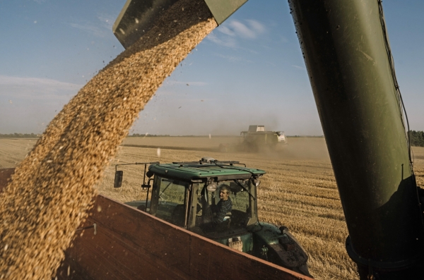 최근 러시아가 흑해곡물협정 중단을 선언해 우크라이나가 흑해를 통한 안전한 곡물 수출을 보장받을 수 없게 된 이후 곡물가가 상승했다는 진단이 나온다. 사진=블룸버그