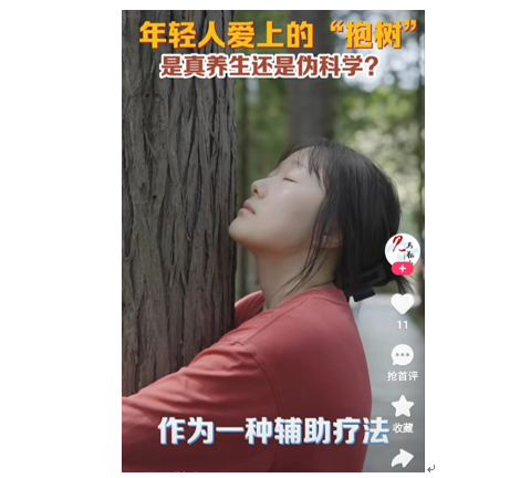 중국 청년들 사이에 나무 껴안기가 유행하고 있다. 사진출처=콰이서우 캡처
