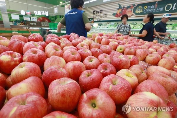 서울의 한 대형마트에 진열된 사과. 사진=연합뉴스